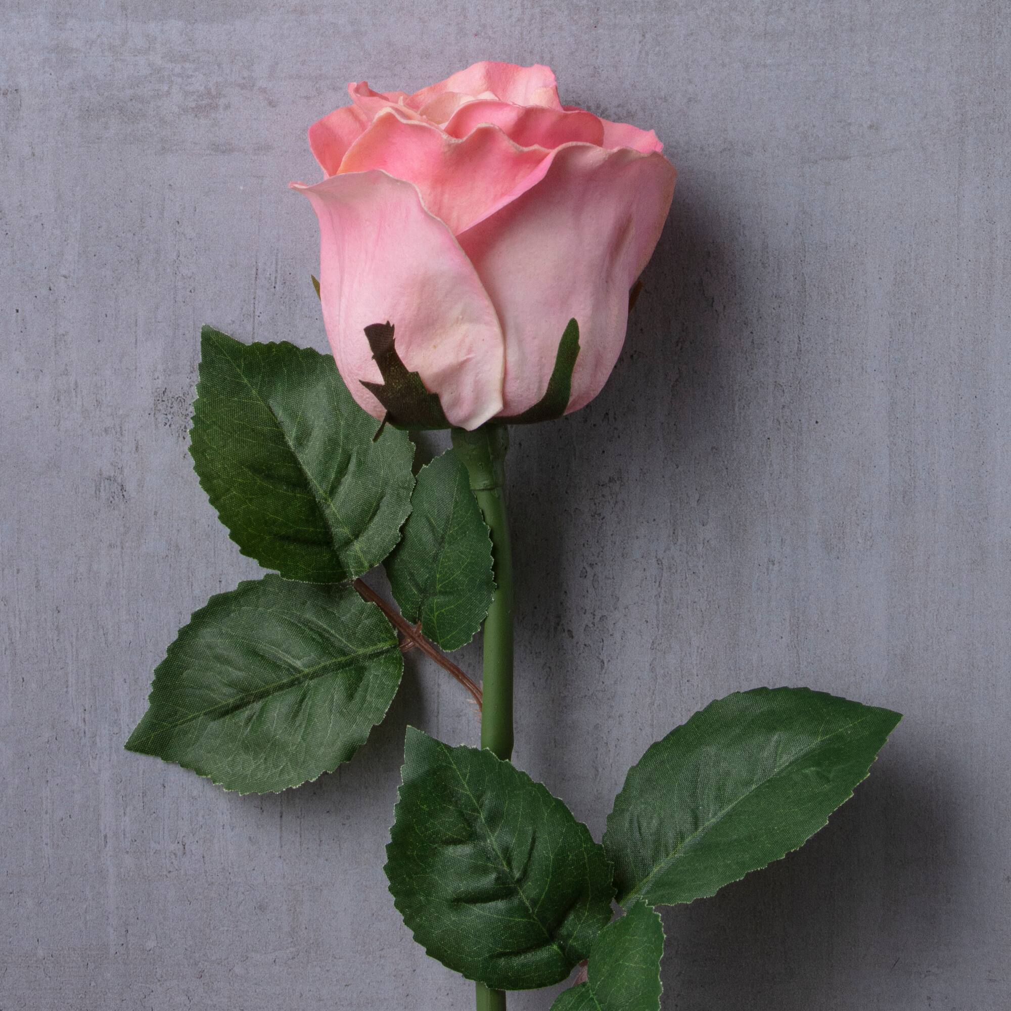 Faux Rose by Ashland